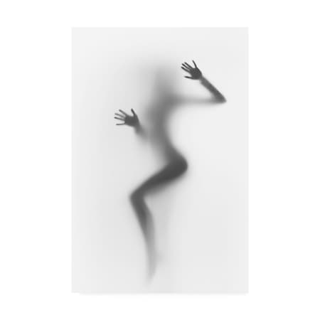 Trademark Fine Art Incado 'Flattened' Canvas Art, 30x47 IC01116-C3047GG